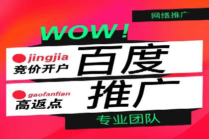 百度推广开户成功案例：如何选择合适的推广方式